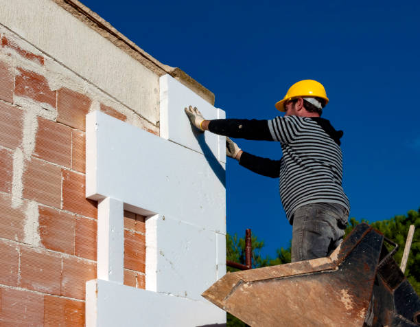 Best Insulation Maintenance and Repair in Cannon Falls, MN